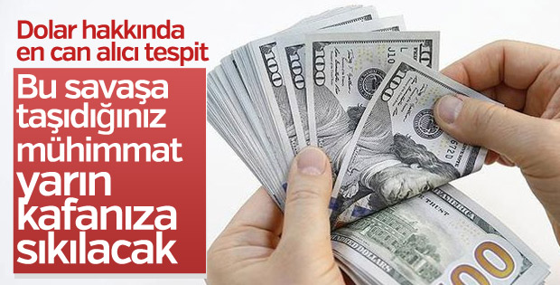 Mete Yarar: Aldığınız dolar yarın kafanıza sıkılacak