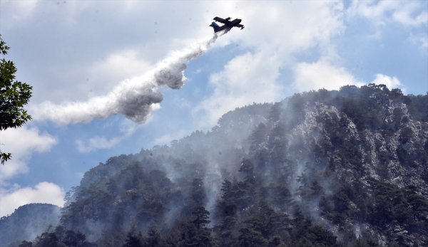 Muğla Köyceğiz’de orman yangını
