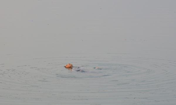 Nehre atlayan kadını vatandaşlar kurtardı