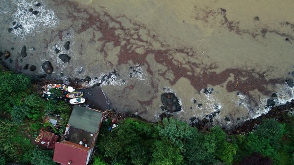Ordu'daki selde bin 100 ton fındık hasar fark etti