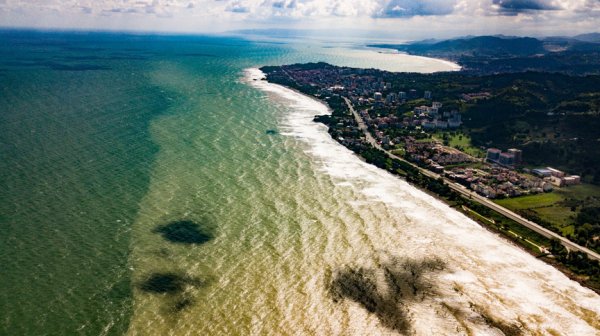 Ordu'daki selde denize sürüklenen ağaçlar görüntülendi