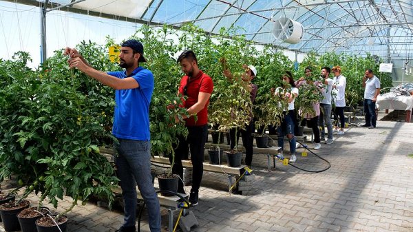 Pilot üniversite projeleri meyvelerini veriyor