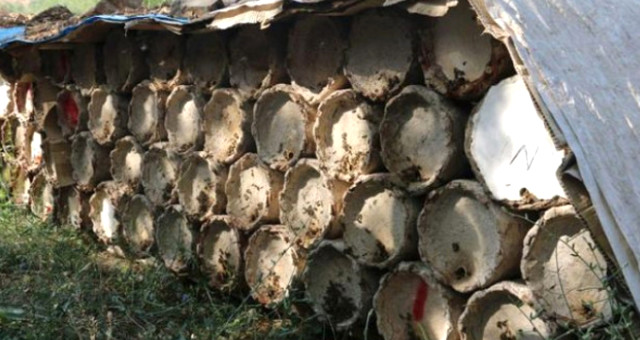 Siirtli Bal Üreticisi, 3 Bin TL’ye Çalıştıracak Eleman Bulamıyor!