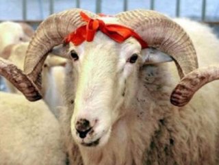 Suudi Arabistan Kurban Bayramını 21 Ağustos’ta kutlayacak