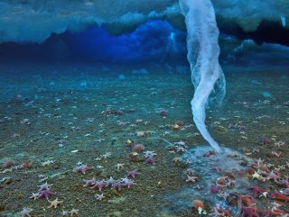 Vefat sarkıtı nedir