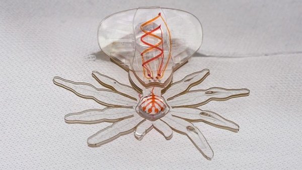 Yumuşak malzemeyle örümcek şeklinde robot yapıldı