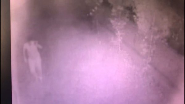 1 saat içinde 7 evi soyan hırsızlar yakalandı