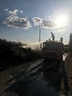 Çocukların yaktığı ateş çam fidanlarına hasar verdi