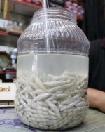 Kenger Bitkisinden Elde Edilen Sakızın Kilosu Bin Lira Olunca Taneyle Satılmaya Başladı