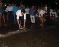 Murat Kurum caretta carettaları denize uğurladı
