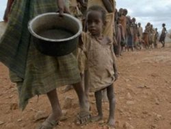 Dünyada 870 milyon insan istek çekiyor