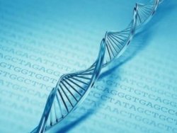 Erkeklerde geç evlenmek çocukta otizm riskini artırıyor