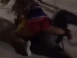 Yumruğu yiyince kafes dövüşcüsüne dönüşen kız