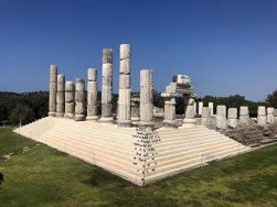 Apollon Tapınağı mitolojik farelerine kavuştu