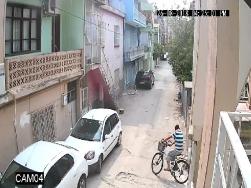 Muhabbet kuşu hırsızı tutuklandı