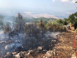 Piknik yaparken ormanı yaktılar