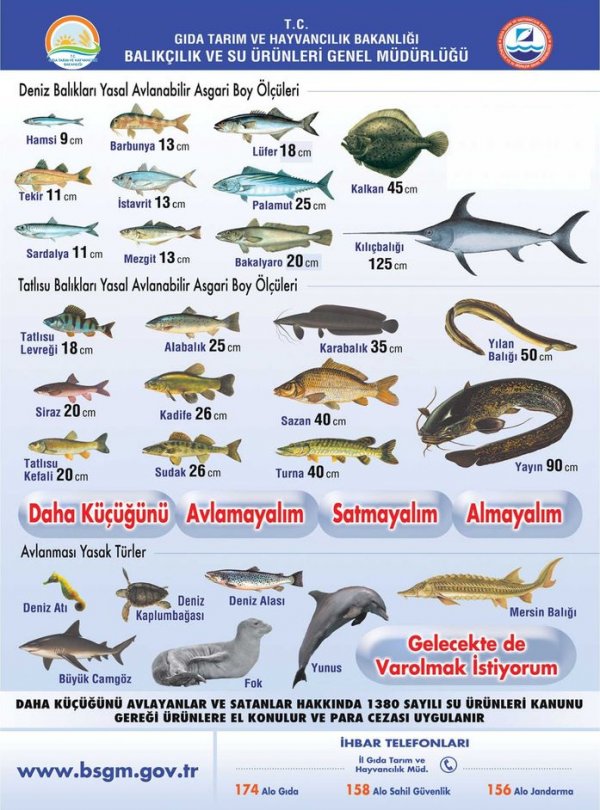 ‘Hamsi avı bir ay ertelenmeli’