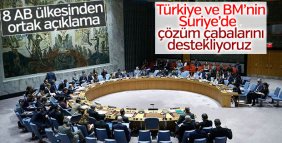 8 AB ülkesinden Türkiye'ye takviye geldi