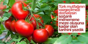 Domates Türk mutfağına ne vakit girdi