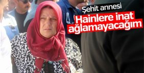 Şehit Adem Güven'in annesi: Hainleri sevindirmeyeceğim