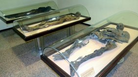 Amasya Müzesi'ndeki mumyalara ziyaretçi ilgisi