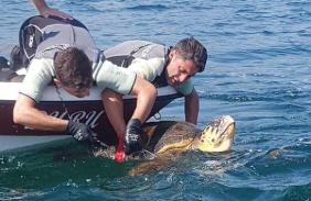 Ağa takılan caretta carettayı Sahil Güvenlik kurtardı