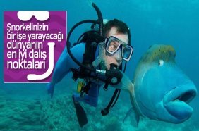 Dünyanın en iyi dalış noktaları