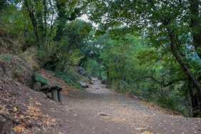 Doğa ve tarihin buluştuğu şehir halkı: Termessos