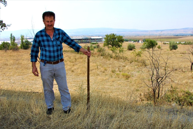 Koyun Otlattığı Çayıra Fabrika Kuruyor