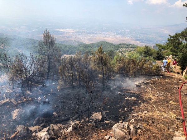 Piknik yaparken ormanı yaktılar