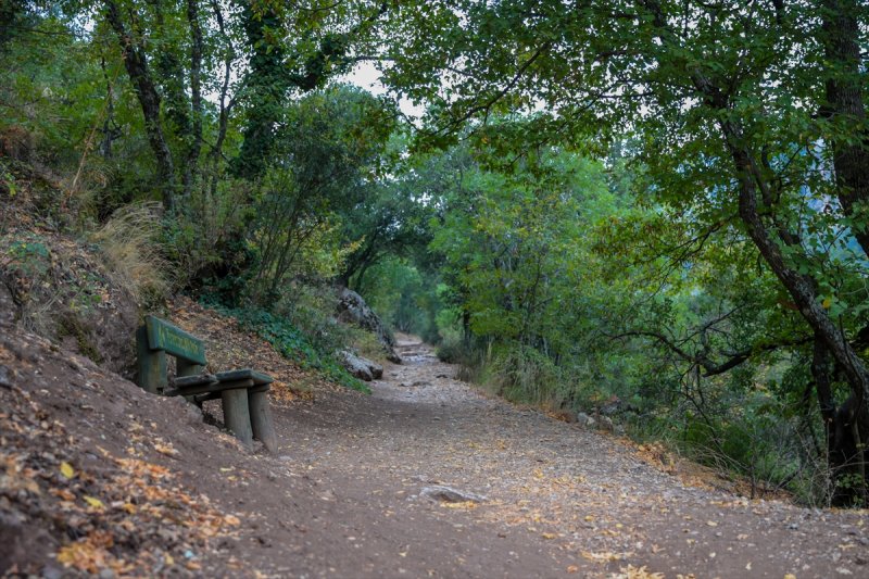 Doğa ve tarihin buluştuğu şehir halkı: Termessos