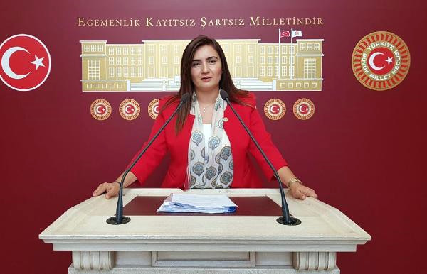 CHP’li Kılıç’tan Mektep Servisleriyle İlgili Soru Önergesi