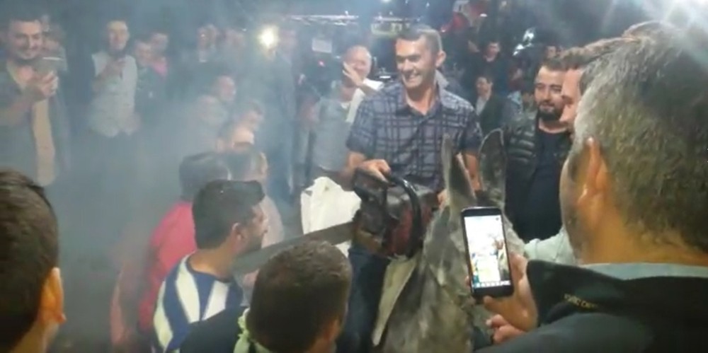 Acayip gelenek: Motorlu testereyle tıraş