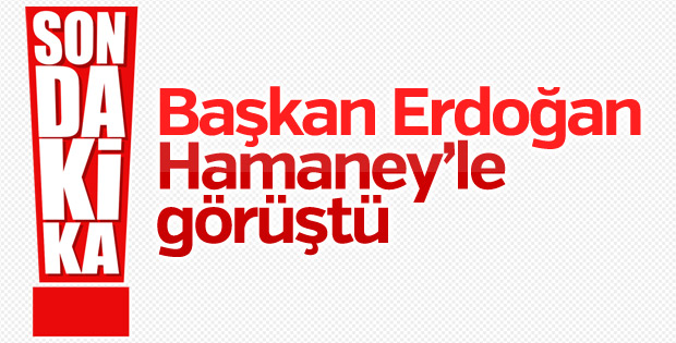 Başkan Erdoğan Ali Hamaney'le görüştü