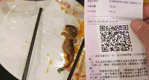 Çin'de bir restoranda çorbadan fare ölüsü çıktı