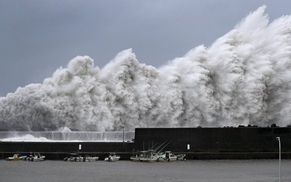 Japonya'da meydana çıkan tayfun nefret salıyor