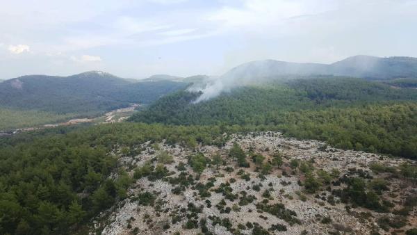 Milas'ta 5 dönüm ormanlık yandı