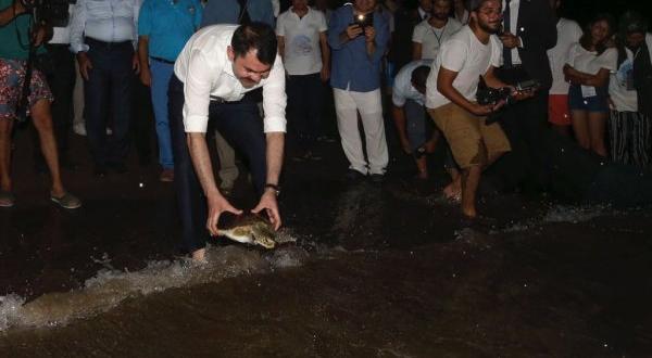 Murat Kurum caretta carettaları denize uğurladı