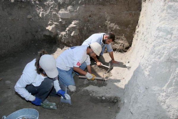Oluz Höyük'te 2 bin 500 Takvim Pers sarayı bulundu