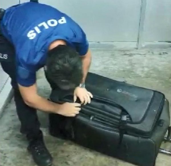 Valizin içinde Türkiye'ye girmeye çalışan bayan yakalandı