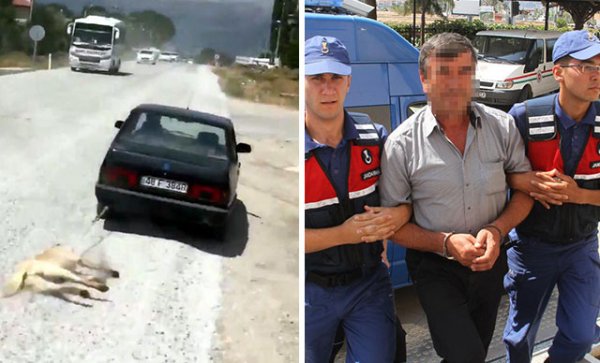 Arabanın arkasından köpeği sürükleyen şoföre millet davası