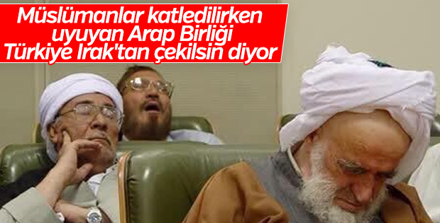 Arap Birliği’nin hedefi Türkiye