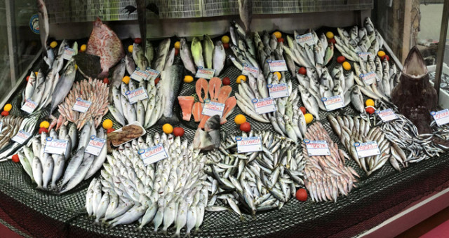 Bandırma Körfezi'nden Bolluk Fışkırdı, Palamutun Adam Başına 10 Liraya Düştü