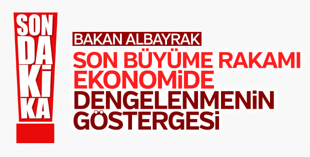 Berat Albayrak’tan çoğaltma rakamlarına ilk açıklama