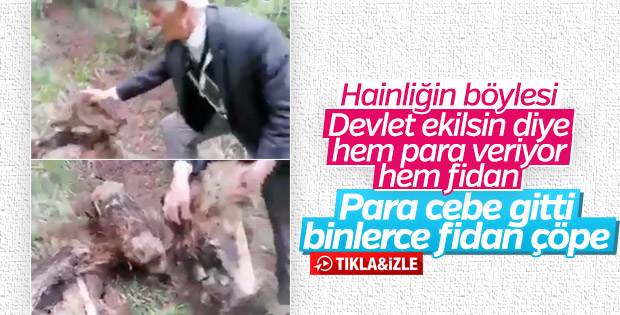 Devletten para ve fidan desteği alıp tarım yapmadı