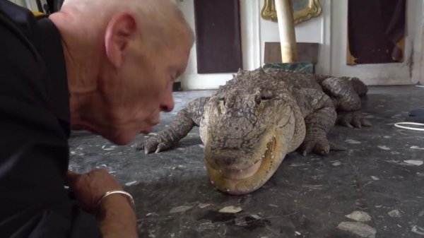 Evini hayvanat bahçesine çeviren Fransız