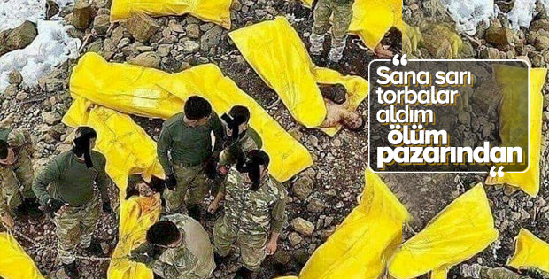 İkiyaka Dağları Bölgesi'nde 7 terörist öldürüldü