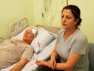 Köpeklerini gezdirirken taşlı saldırıya uğradı