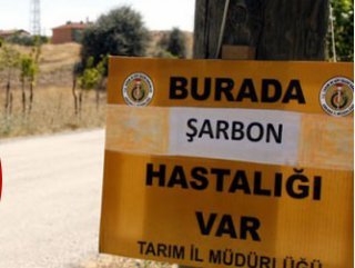 Ankara Valiliği: Şarbon iddiaları gerçek dışı