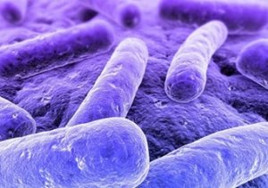 Şarbon hakkında merak ettiklerimiz